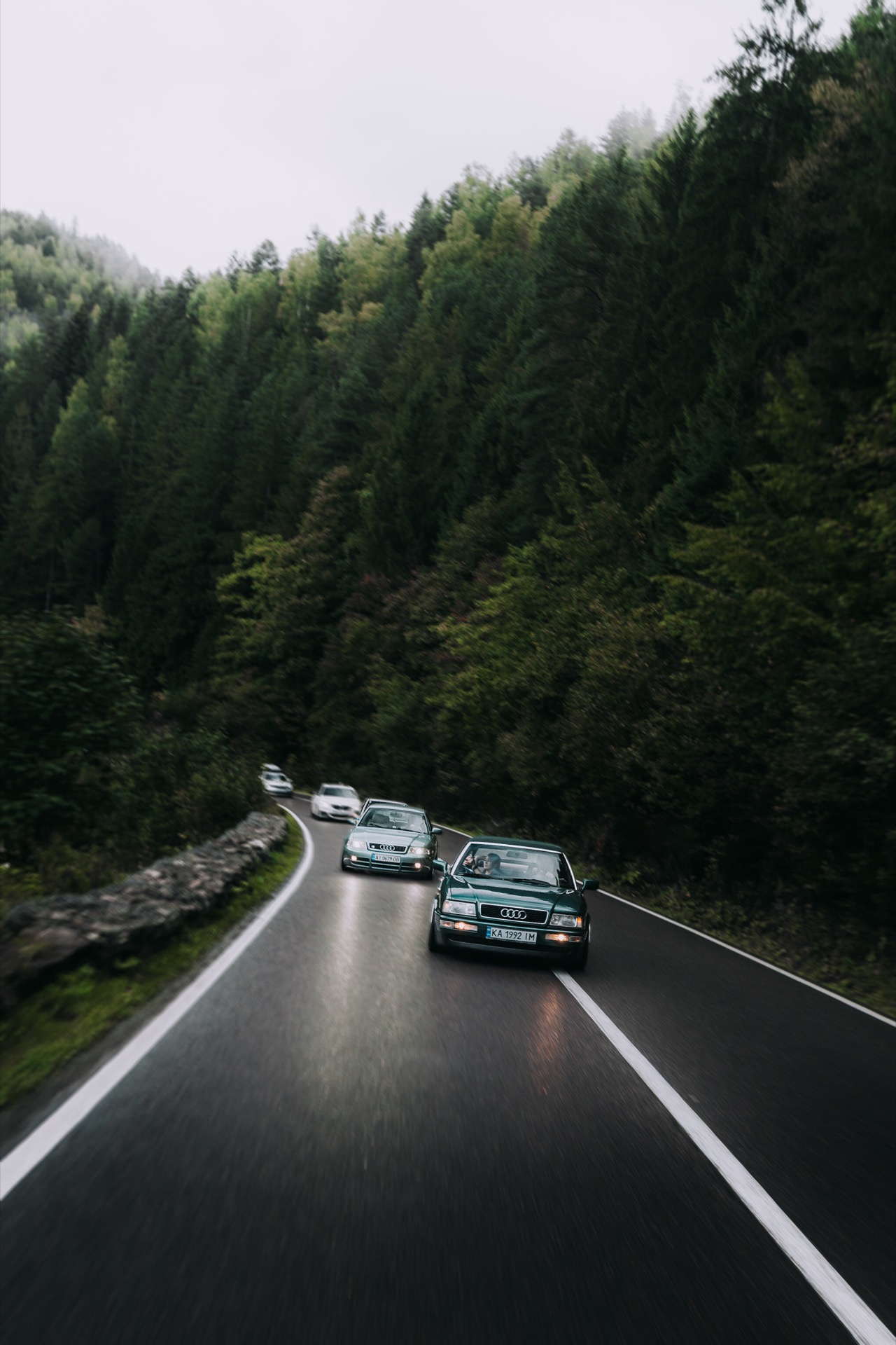 Дорога в Карпатах